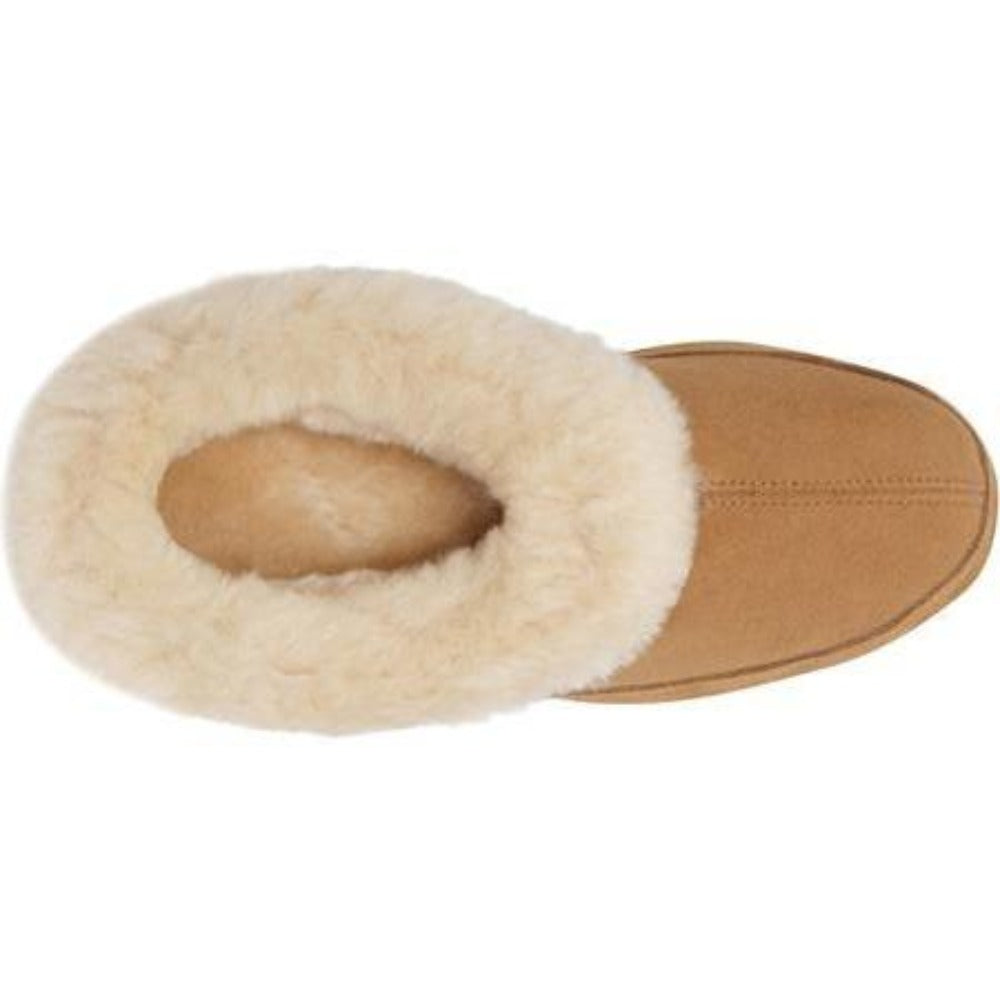 Acorn Oh Ewe Slippers For Women Acorn USA