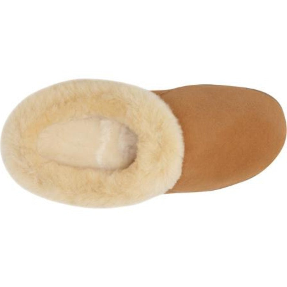 Acorn women's oh ewe sheepskin online bootie